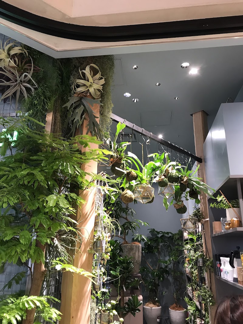 Solso Home Nihombashi 東京都中央区日本橋 園芸センター ホームセンター グルコミ