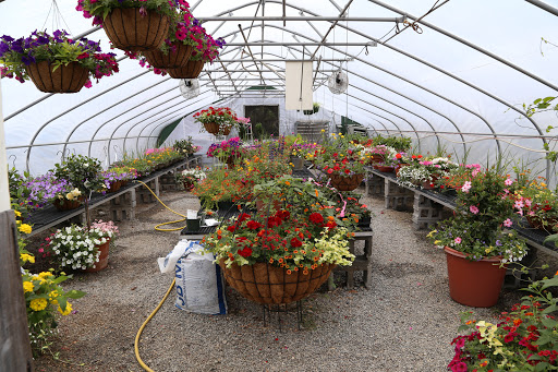 Plant Nursery «A Growing Concern Garden Center», reviews and photos, 1707 Spartanburg Hwy, Hendersonville, NC 28792, USA