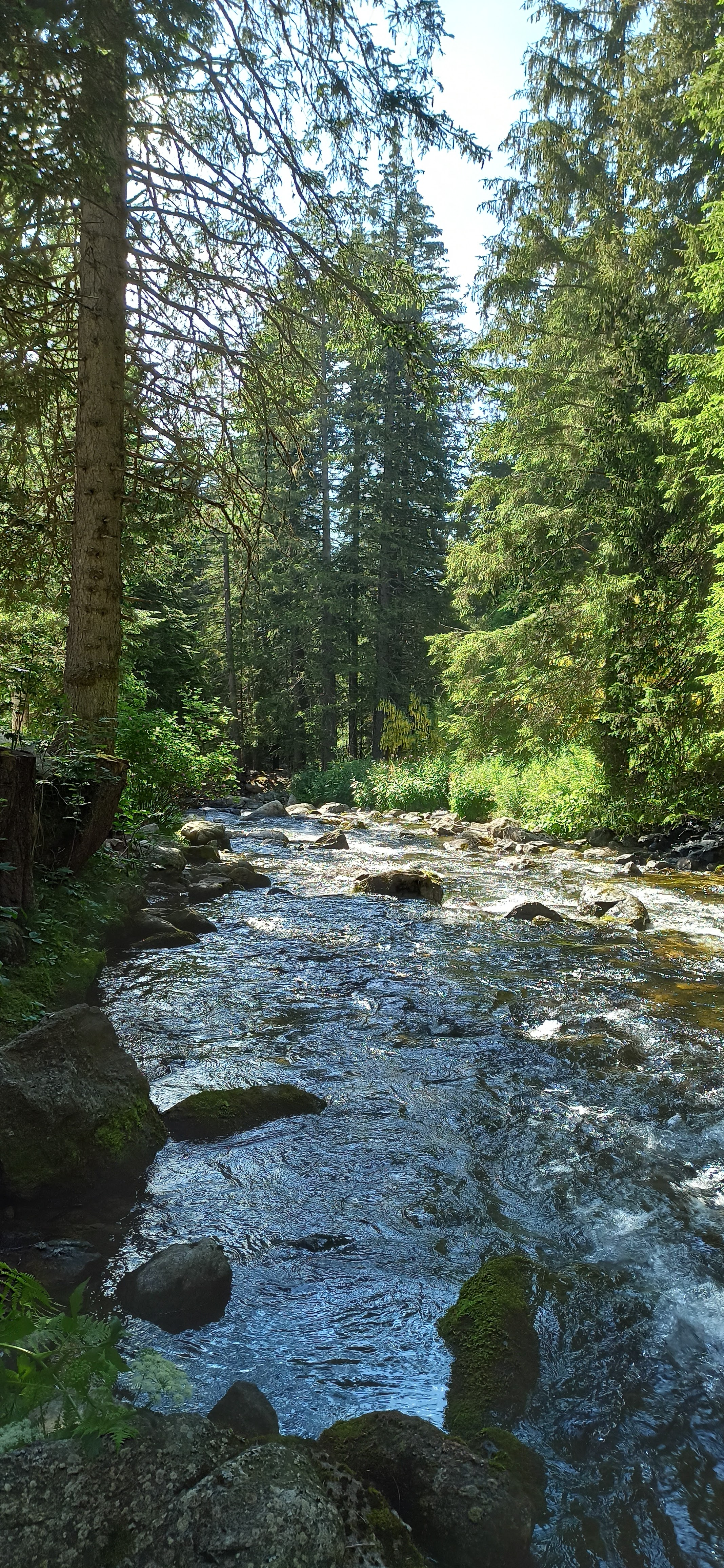 Photo n° 2 de l'avis de Paul. fait le 06/01/2021 à 18:40