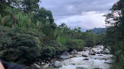 Río Taparto