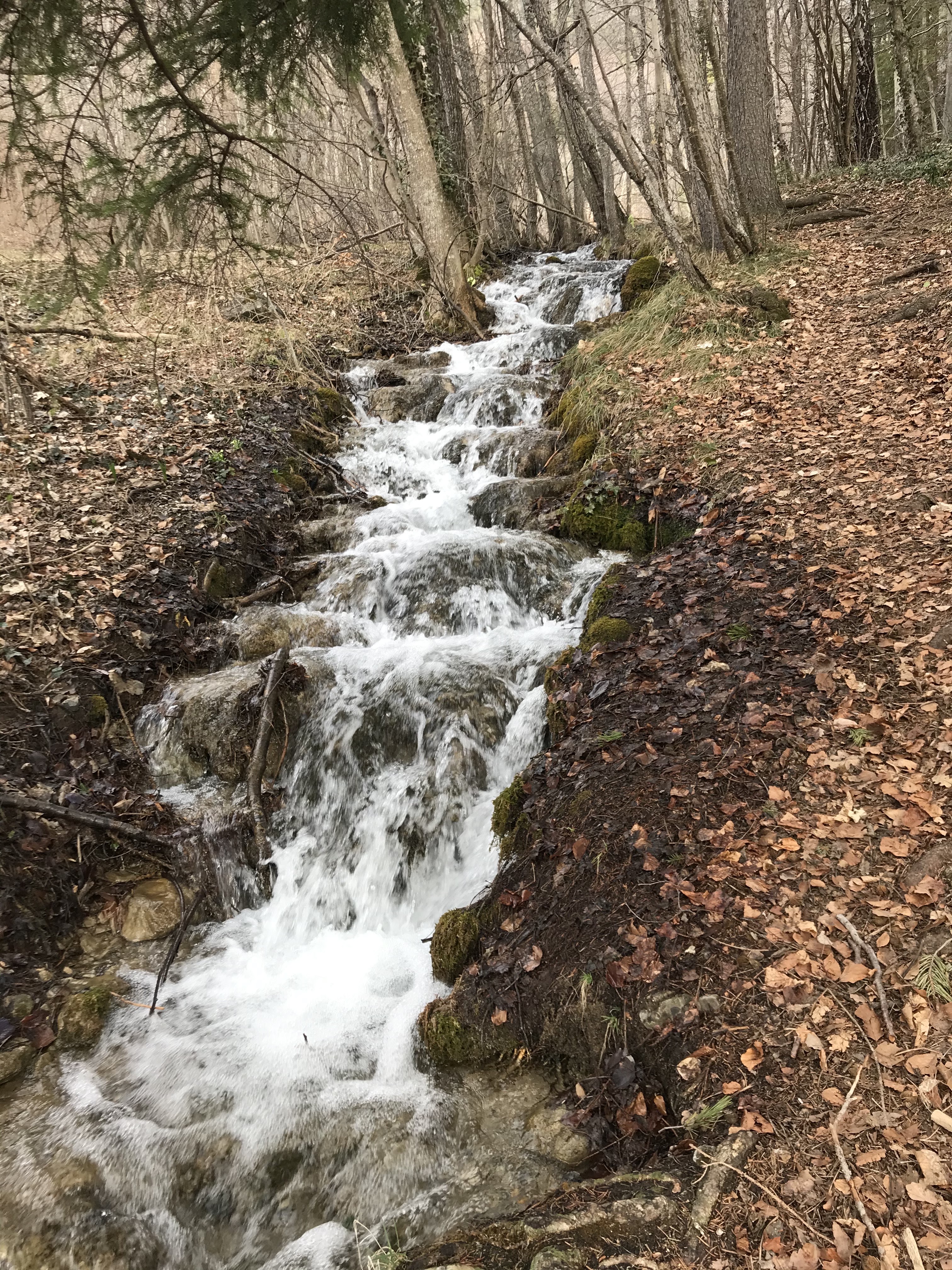 Photo n° 7 de l'avis de Bastien.a fait le 05/03/2021 à 06:20