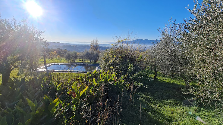 Photos des visiteurs Vacances à la ferme La Loggia srl 55012 Capannori