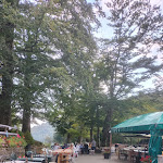 Photo n°4 de l'avis de Daniela. fait le 16/08/2023 à 15:29 sur le  Farm Spedaletto à Cantagallo