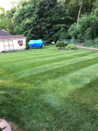 US Premier Lawn Care