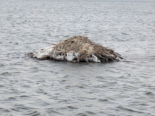 Park «Robert Moses State Park», reviews and photos, 32 Beach Marina Rd, Massena, NY 13662, USA