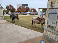 Williamson County Tax Office- Round Rock - Photo 2 - Car repair in Round Rock, TX, Round Rock