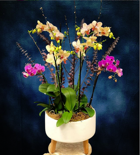 Florist «Finishing Touch Florist & Gifts», reviews and photos, 1645 140th Ave NE B4, Bellevue, WA 98005, USA