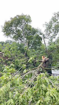 Chainsaw Tree Service - Photo 2 - Car repair in , Nashville