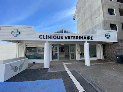 Clinique Vétérinaire VETOLOGIE - DR Chloé DORANGEON et Dr Maud PIVONT à Saint-Denis