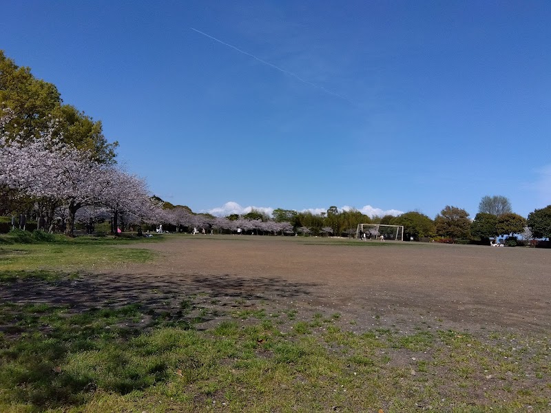 日本平運動公園 多目的広場駐車場