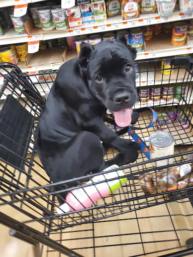 Pet Supply Store «Pet Supplies Plus», reviews and photos, 3060 N Lewis Ave, Waukegan, IL 60087, USA