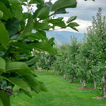 Photo n°4 de l'avis de Oliver.i fait le 19/08/2022 à 23:41 sur le  Landgasthof Restaurant Bad Turmbach à Eppan an der Weinstraße