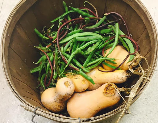 Organic Restaurant «The Curious Kitchen», reviews and photos, 1602 W Northfield Blvd #2, Murfreesboro, TN 37129, USA