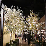 Photo n°2 de l'avis de Daniele. fait le 12/12/2019 à 22:31 sur le  Ristorante Pizzeria Concordia à Udine