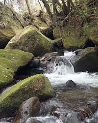 小さなお宿 つきのほたる