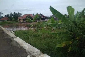 Lapangan Desa Babakan Reuma image