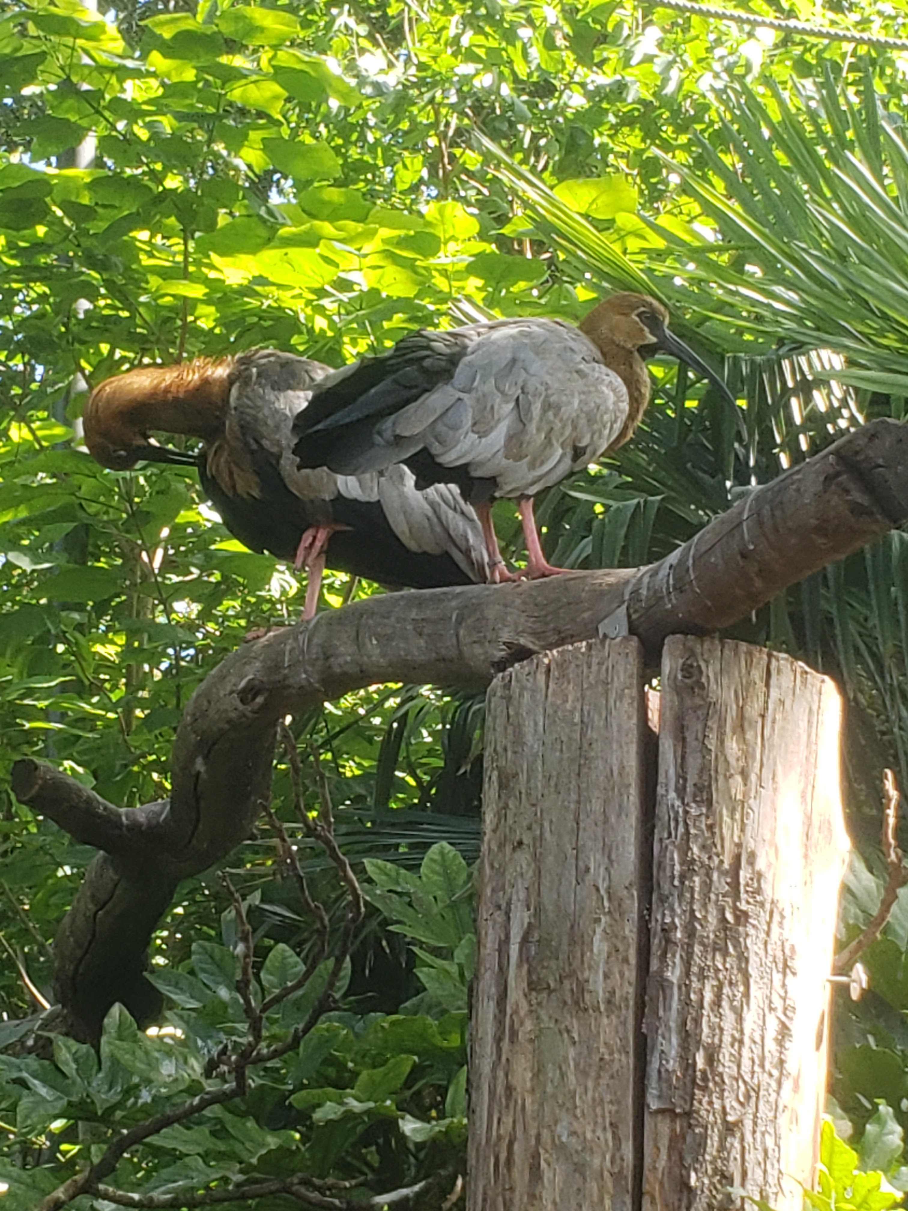 Photo n° 2 de l'avis de Severine. fait le 21/08/2023 à 19:14
