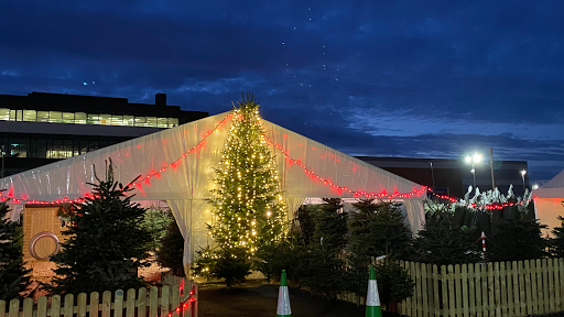 The Christmas Tree Barn Sandyford