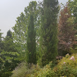 Photo n°1 de l'avis de Sonja-Liezel.h fait le 05/07/2018 à 18:23 sur le  B&B La Vedetta à Castelvetro di Modena