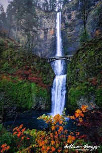 Arthur Borges Photography - Photo 4 - Car repair in , The Woodlands