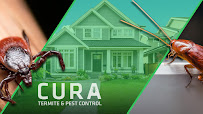 CURA Termite and Pest Control - Photo 2 - Car repair in Anaheim, CA, Anaheim