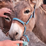 Photo n°1 de l'avis de Roberta.o fait le 02/09/2021 à 06:31 sur le  Al numero zero, azienda agricola à Monte Gallina