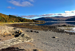 Loch Sunart Beach'in fotoğrafı çok temiz temizlik seviyesi ile