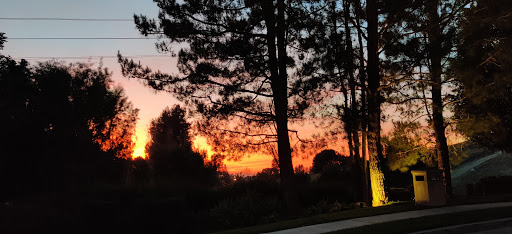 Vista Del Lago Apartments image