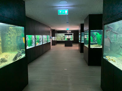 Garda Akvárium