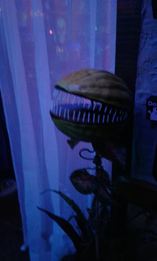 Magic Store «Magic Fun House», reviews and photos, 4100 Rowlett Rd #400, Rowlett, TX 75088, USA