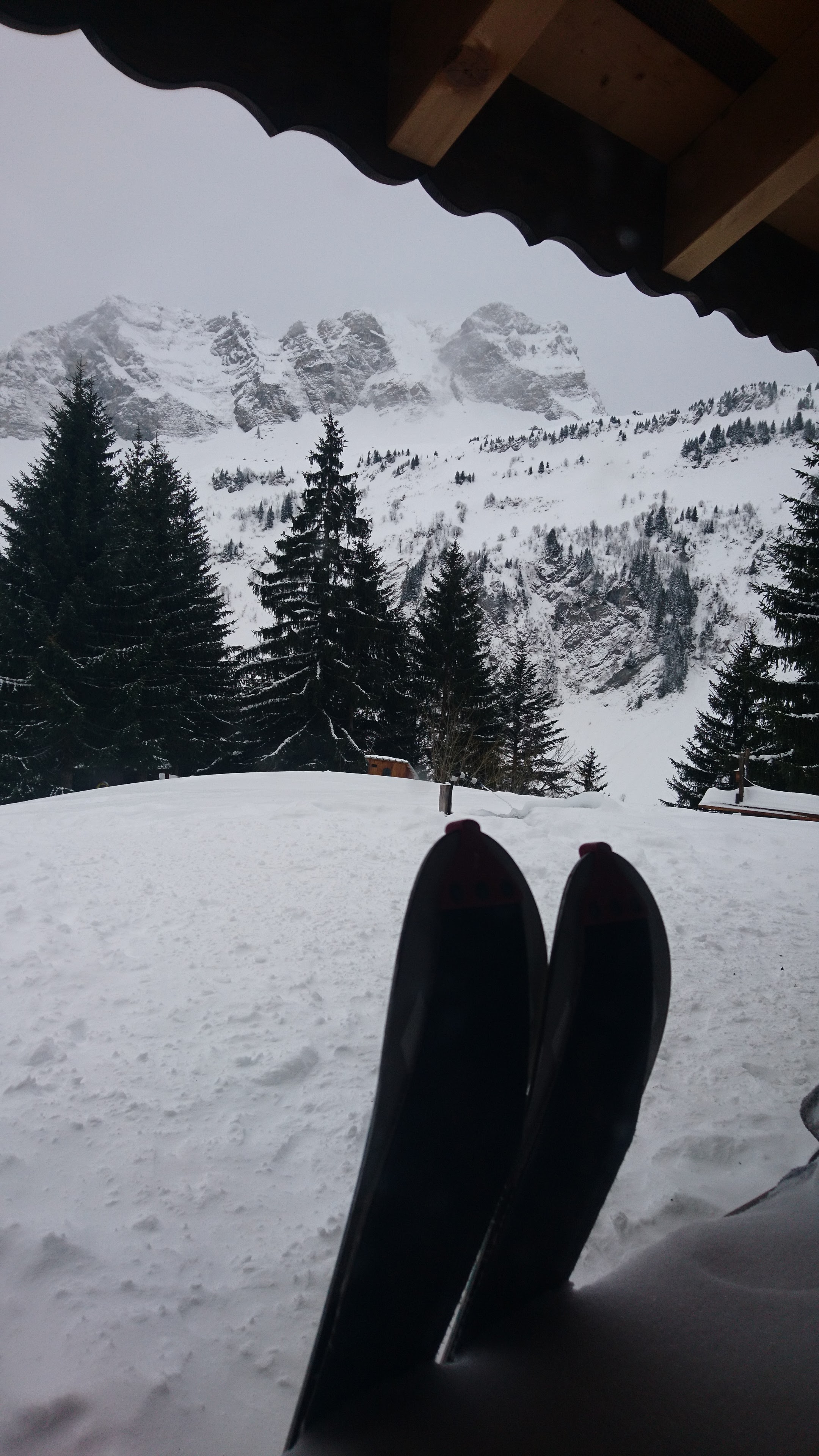 Photo n° 2 de l'avis de Camélia.i fait le 27/02/2020 à 11:03