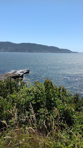 Agua del obispo kl 12 camino a niebla, Valdivia, Los Ríos