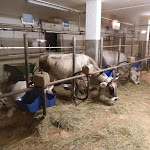 Photo n°4 de l'avis de Marco.i fait le 02/09/2022 à 11:59 sur le  Agritur El Mas à Moena