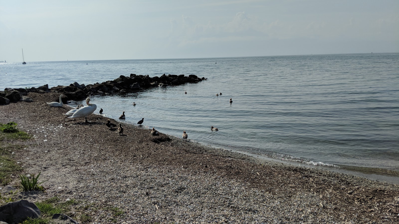 Plage de Parc des Pierrettes photo #6