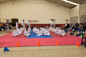 Taekwondo Titanes Acozac image