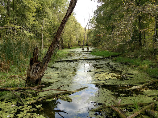 Nature Preserve «Great Flats Nature Trail», reviews and photos, W Campbell Rd, Schenectady, NY 12306, USA