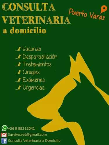 Consulta Veterinaria a Domicilio Puerto Varas - Puerto Montt