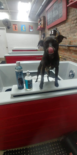 Pet Store «Firehouse Pet Shop & Grooming», reviews and photos, 17 S Wenatchee Ave, Wenatchee, WA 98801, USA