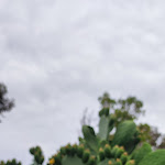 Photo n°8 de l'avis de Maria.i fait le 25/06/2023 à 22:25 sur le  Al Mare à Tusa