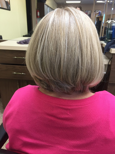 Beauty Salon «Plumbrook Salon», reviews and photos, 38365 Dodge Park Rd, Sterling Heights, MI 48312, USA