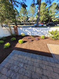 Winesett Nursery and Landscaping - Photo 4 - Car repair in Virginia Beach, VA, Virginia Beach