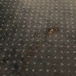 Photo n°2 de l'avis de Yi-shih.e fait le 31/08/2022 à 06:43 sur le  Club Hotel à Venice