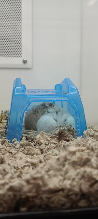 Petco - Photo 8 - Car repair in Northglenn, CO, Denver