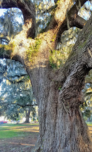 Park «Southside Park», reviews and photos, Southside Park Loop, Beaufort, SC 29902, USA