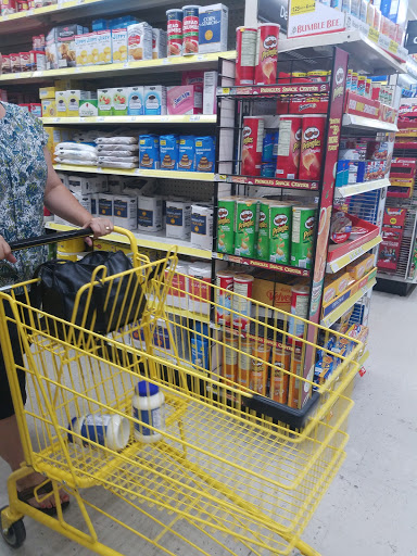 Home Goods Store «Dollar General», reviews and photos, 2425 Gold Mine Rd, Dallas, GA 30157, USA