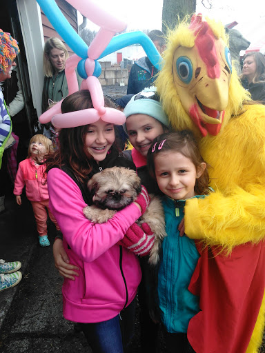 Pet Supply Store «Higbie Farm Supplies Inc», reviews and photos, 3440 Union St, North Chili, NY 14514, USA