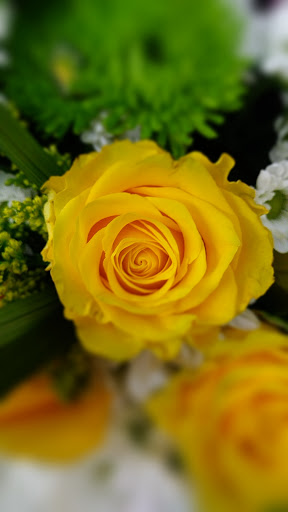 Supermarket «Super Stop & Shop», reviews and photos, 290 Turnpike Rd, Westborough, MA 01581, USA