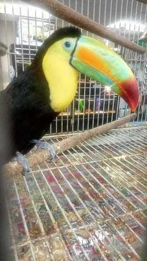 Pet Supply Store «Melis Granero Pet Shop Feed&Supply», reviews and photos, 224 E Foothill Blvd, Rialto, CA 92376, USA