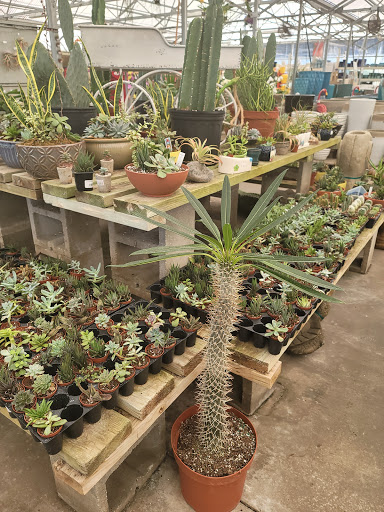 Hardware Store «Proctor Ace Hardware», reviews and photos, 870 A1A N, Ponte Vedra Beach, FL 32082, USA