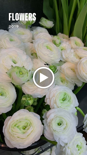 Florist «Garden Delights Fine Florist», reviews and photos, 2179 Hillsboro Rd, Franklin, TN 37069, USA